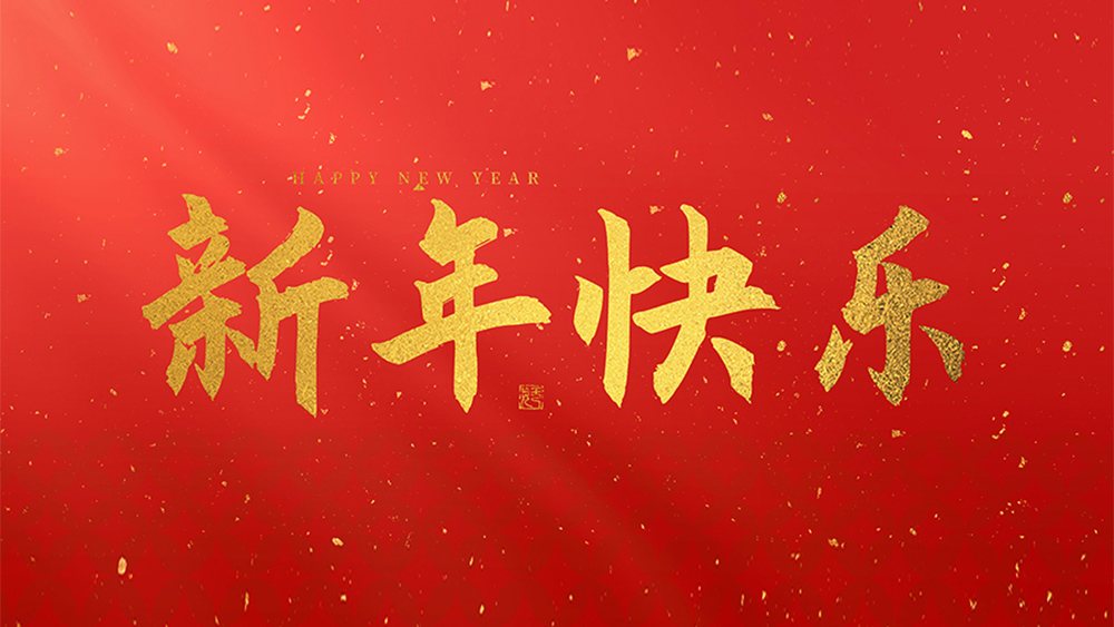 麗水市威儀自動(dòng)化技術(shù)有限公司祝全國(guó)人民2025新年快樂(lè)！